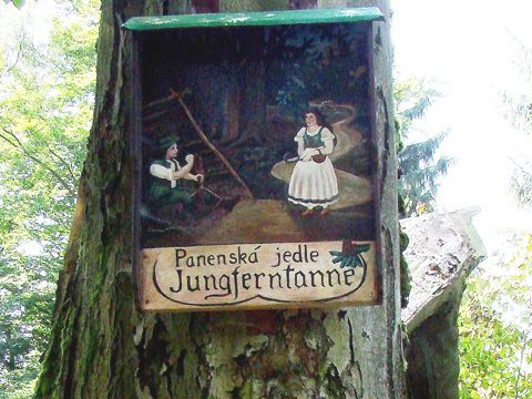 Foto 21